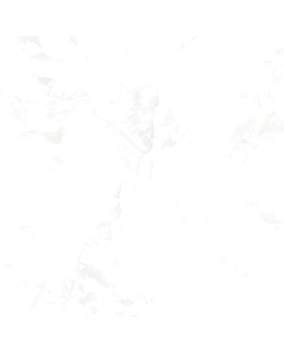 HIMALAYA WHITE-10895550