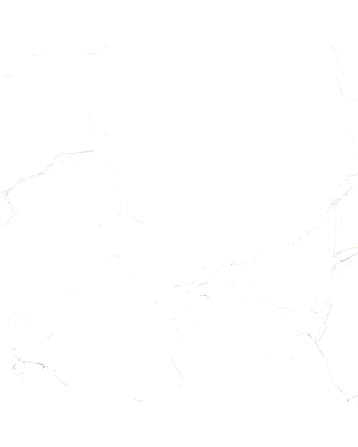 INTUION WHITE-10895566
