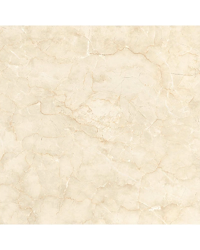 IVORY MOON-10895606