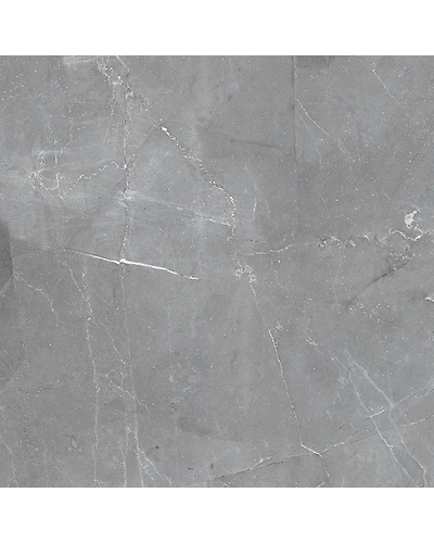 MARLIN GREY-10895736