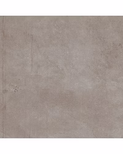 NAPTUNE MOCA-10896642