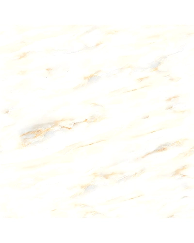 OPTIC ONYX-10896712