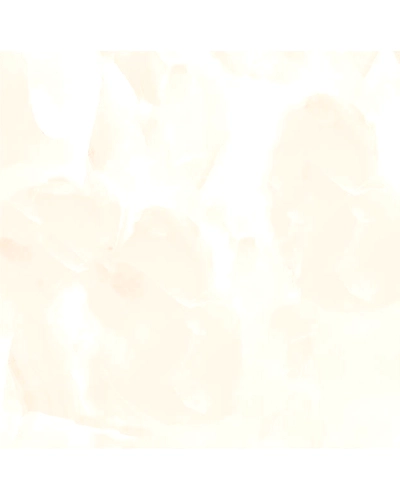 PISA ONYX-10896758