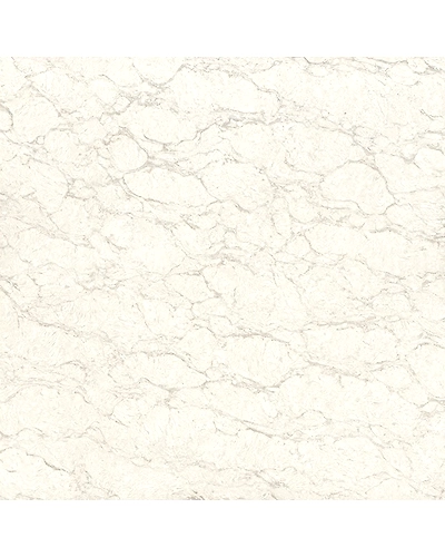 PRIDE WHITE-10896770