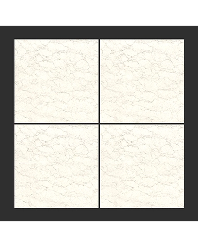 PRIDE WHITE-1