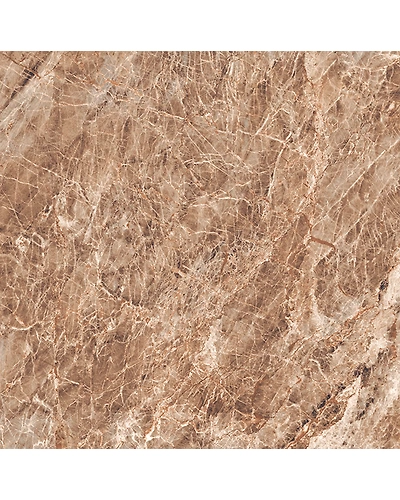 PULPIS BROWN-10896778