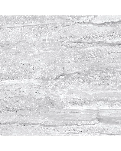 SILVER DYNA-10902622