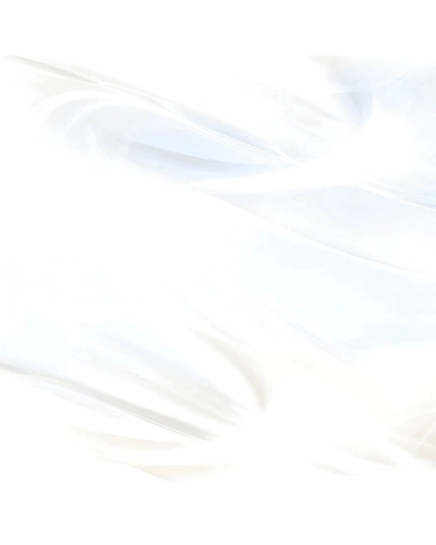 SILVER ICE-10902624