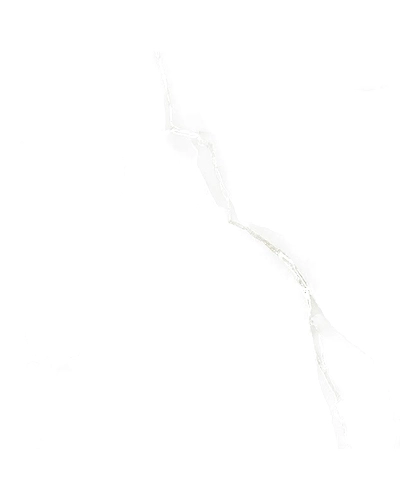 SILVER ONYX-10902626