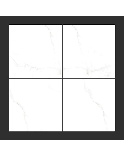 SILVER ONYX-1
