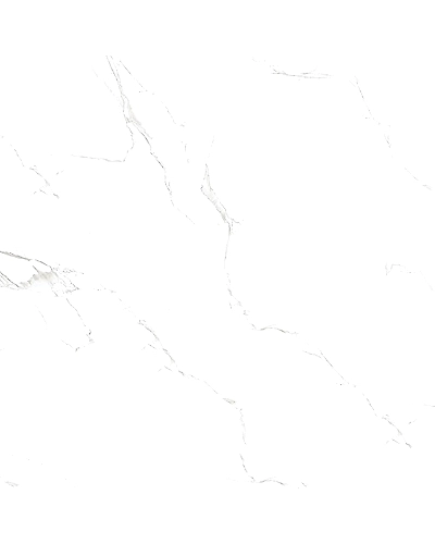 SNOWY CARARA-10902636