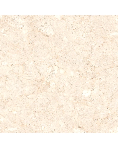 STONE BISQUE-10902664