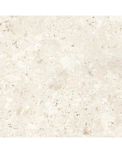 STONE NATURAL-10902668