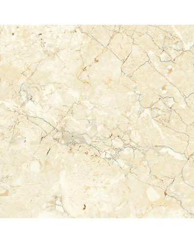 TELAR CREMA-10902684