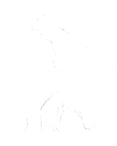 VENATINO-10902738