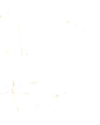 VIVANTA ONYX WHITE-10989040