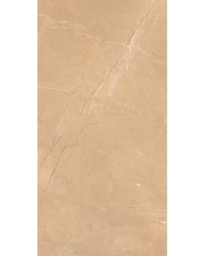 ARMANI TAUPE-11023138