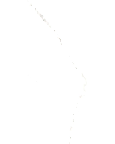 CARRARA GREY-11023152