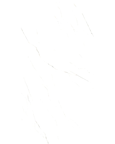 SPARKLE WHITE-11036200