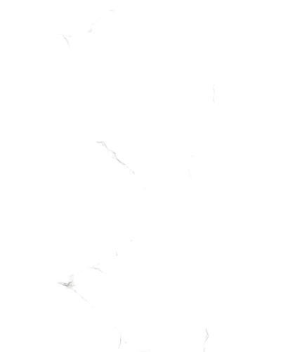 0111-11036244
