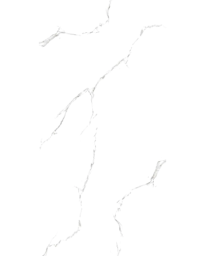 0112-11036246
