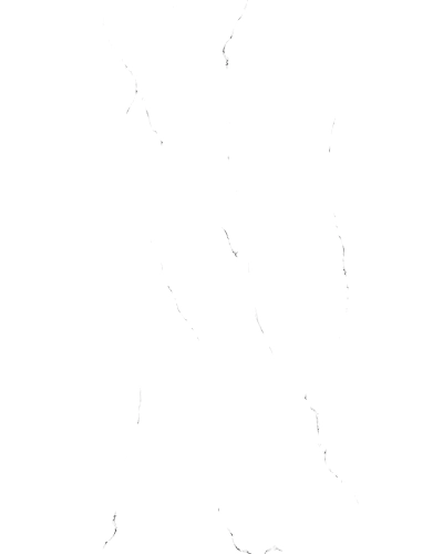 0116-11036254