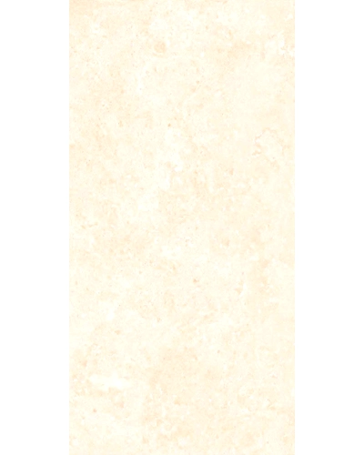 0119-11046118