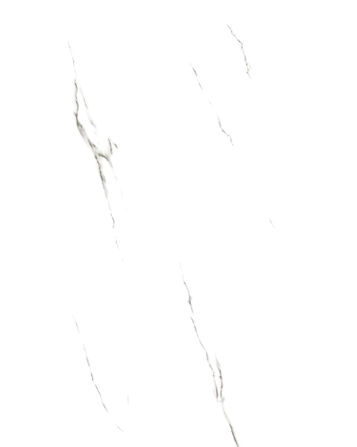 0146-11046172