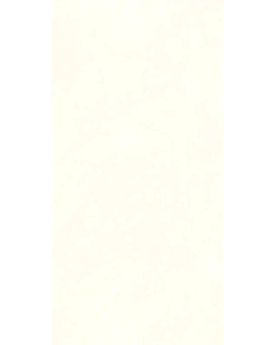 0149-11050216