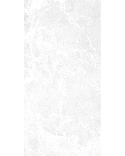 AMIGO BIANCO-11050566