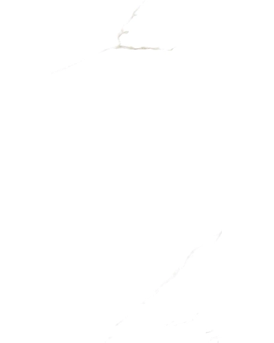 CALCUTTA (AML WHITE)-11054630