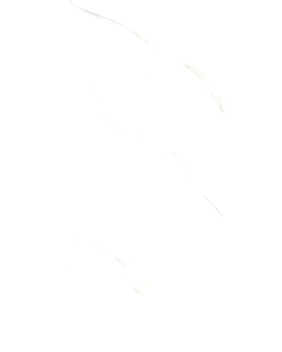 CARRARA LIGHT-11054692