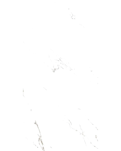 CHARMING CARRARA-11054696