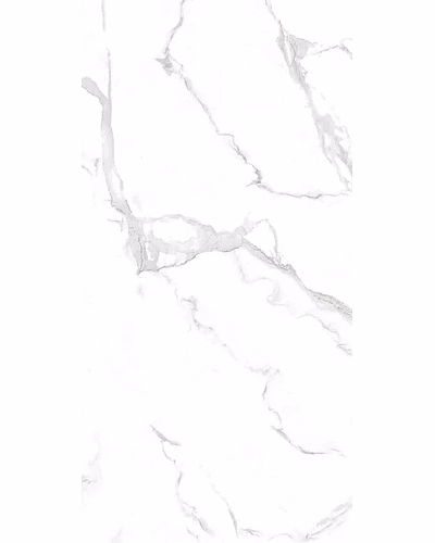 CLASSIC SATUARIO-11054734