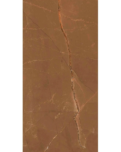 PULPIS BRONZE-11071242