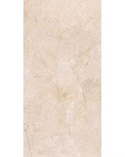ROMAN MARBLE-11071318