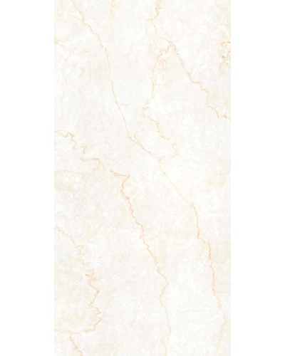 ROYAL BOTTOCHINO GRIS-11071328
