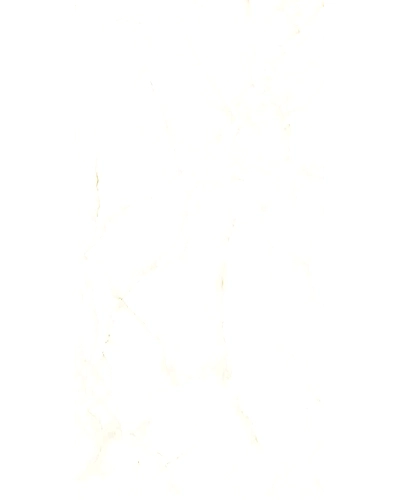 SANG MARMAR WHITE-11071334