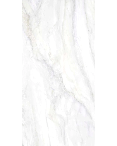 TYPHONE WHITE-11071416