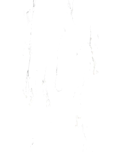 VERSO SATUARIO-11071454