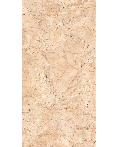 VG-1006-11074754