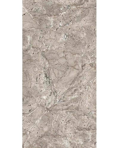 VG-1007-11074756