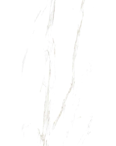 VG-1038-11074820