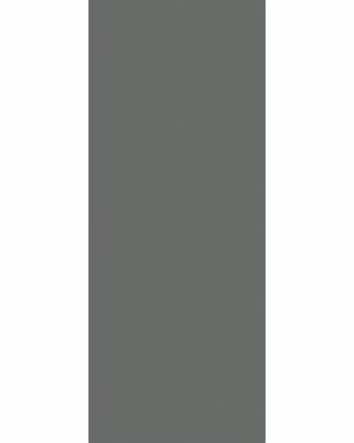 WALL STREET GREY-11089350