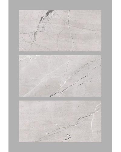 REGAL SILVER-1