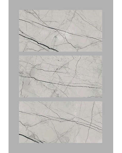 GREY SPIDER-11098822