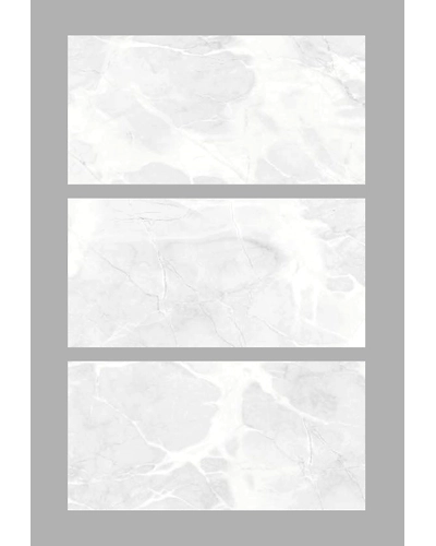 ORLANDO SILVER-1