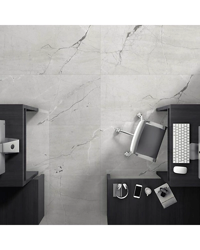 REGAL SILVER-11099274