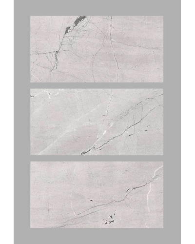 REGAL SILVER-1