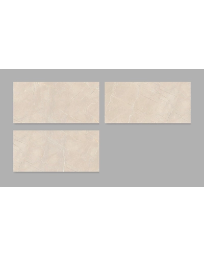 VENAZIA OYSTER-1